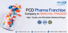 Franchise Pharma company in Himachal Pradesh